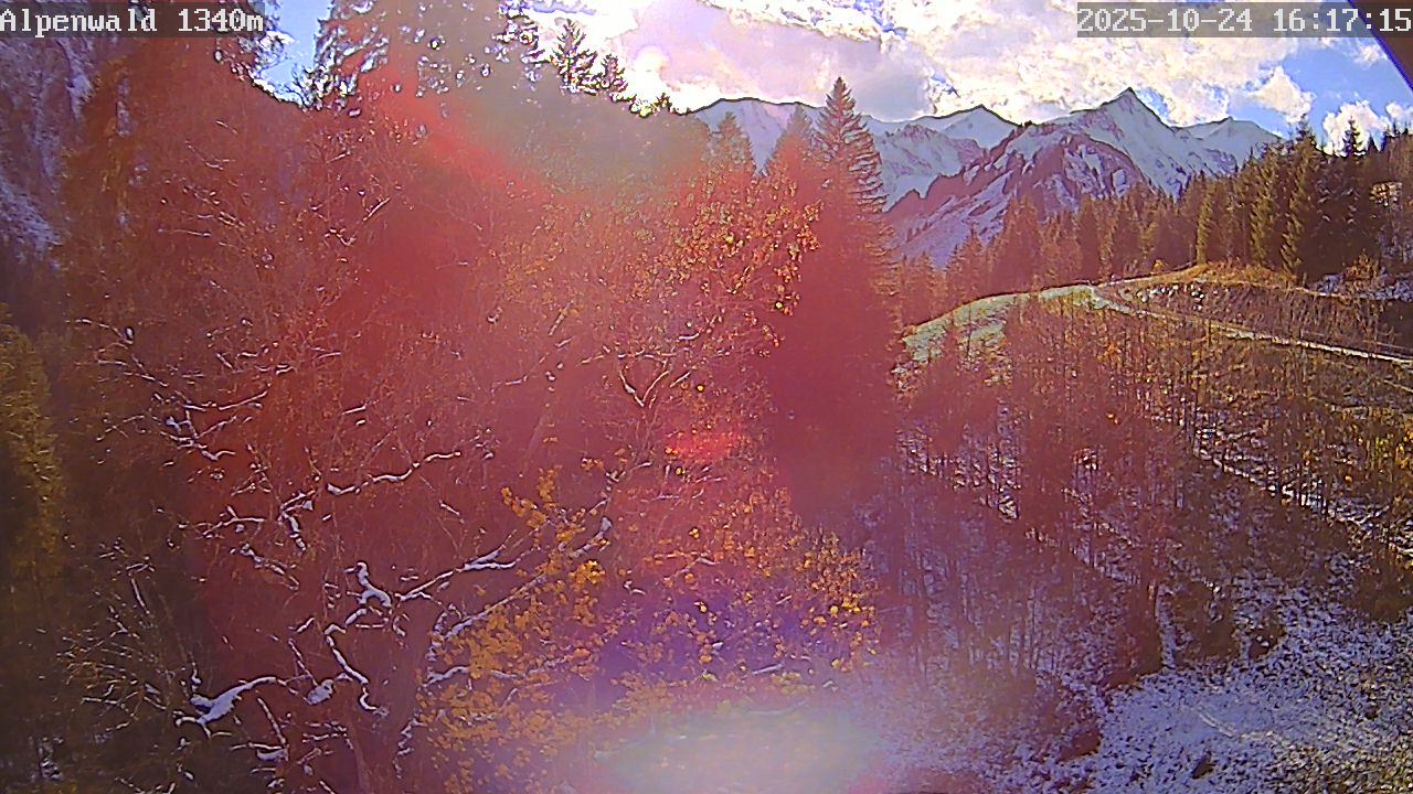 webcam.bild: Gasthof Alpenwald